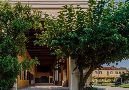 ospitalità-visite e degustazioni